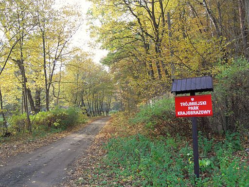 Trójmiejski Park Krajobrazowy - Lasy Oliwskie
