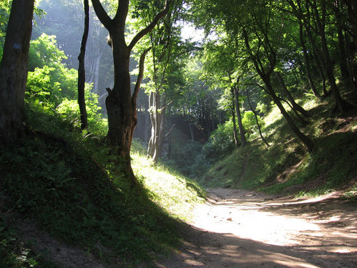 Lisi Jar - Jastrzębia Góra