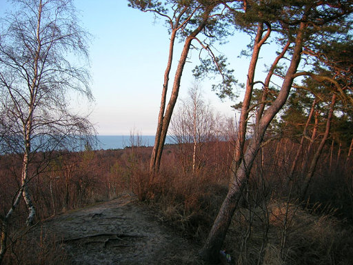 Wielbłądzi Garb - szczyt